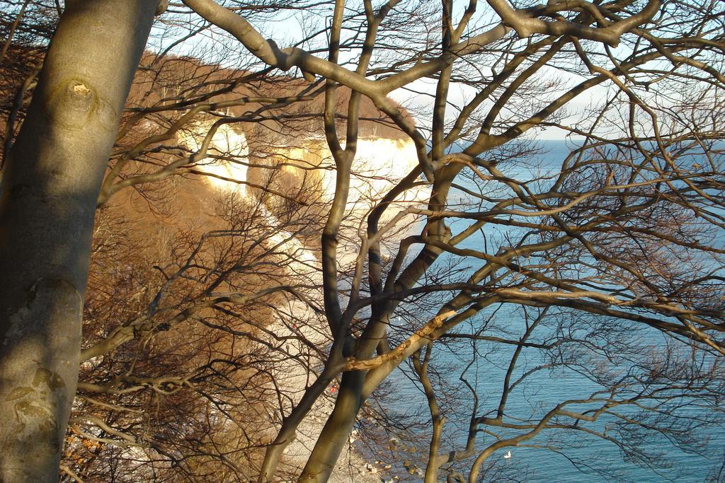 Ferienwohnung In Sassnitz Ruegen Naehe Weltnaturerbe Kreidekueste Exterior photo